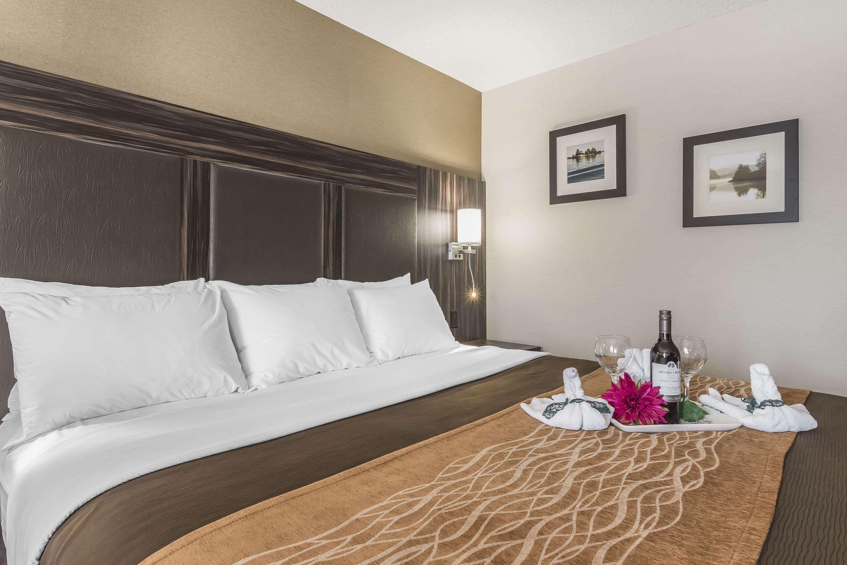 Comfort Inn Trenton Zewnętrze zdjęcie